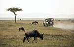thumbnail of Via  southern Safari 
